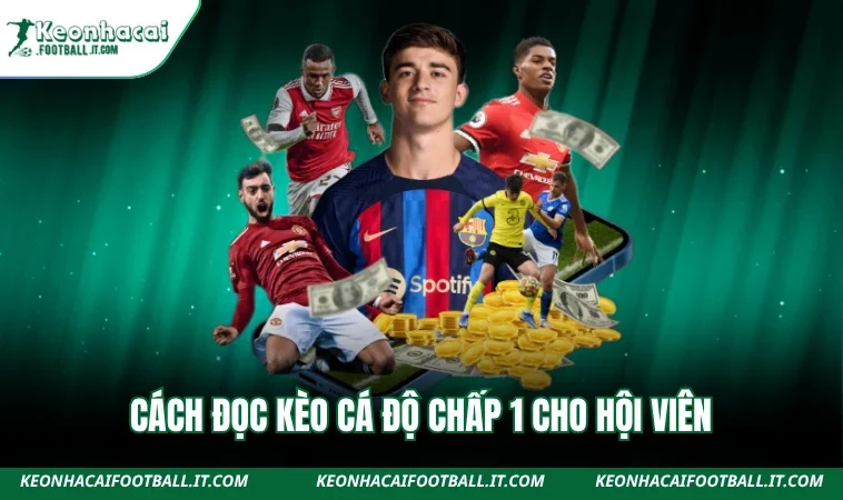 Cách đọc kèo cá độ chấp 1 cho hội viên