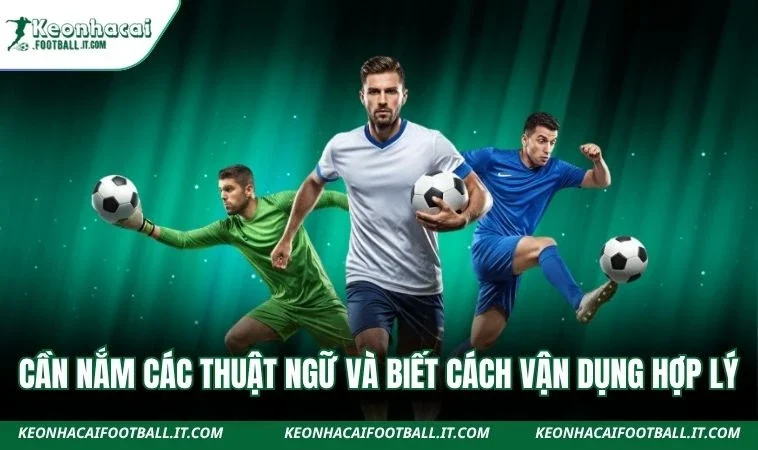 Cần nắm các thuật ngữ và biết cách vận dụng hợp lý