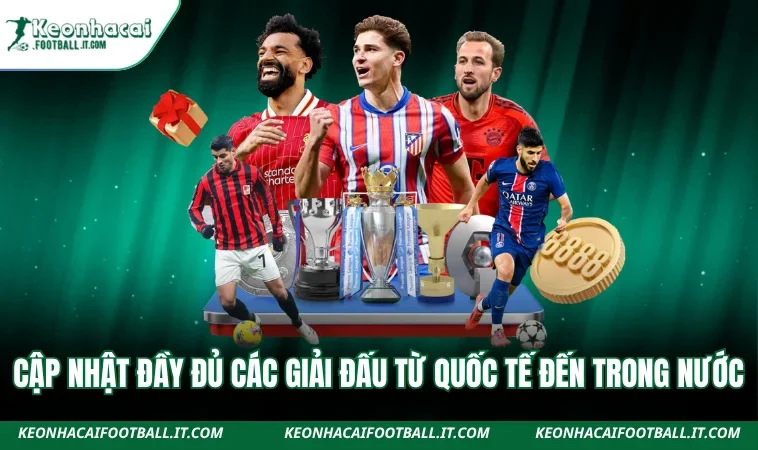 Cập nhật đầy đủ các giải đấu từ quốc tế đến trong nước