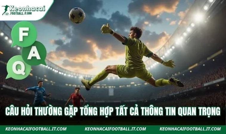 Câu hỏi thường gặp tổng hợp tất cả thông tin quan trọng