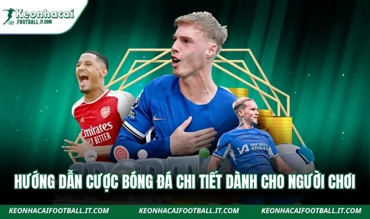 Hướng Dẫn Cược Bóng Đá