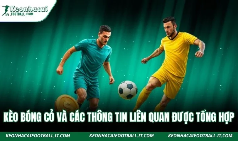 Kèo bóng cỏ và các thông tin liên quan được tổng hợp