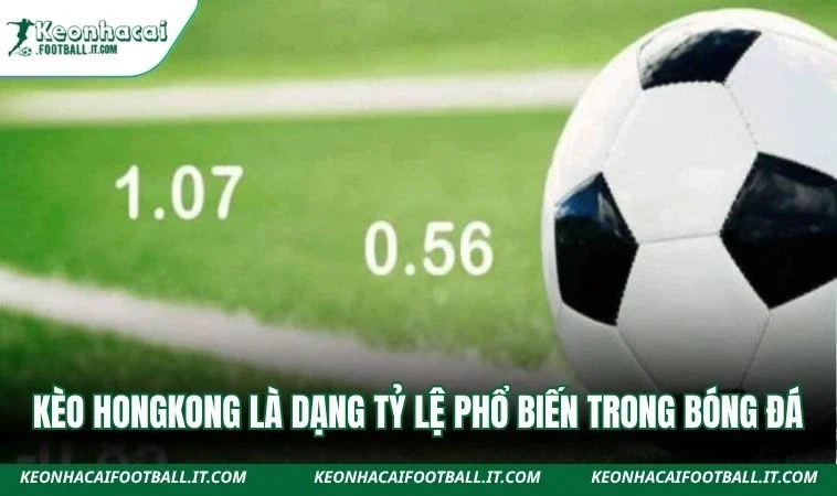Kèo Hongkong là dạng tỷ lệ phổ biến trong bóng đá