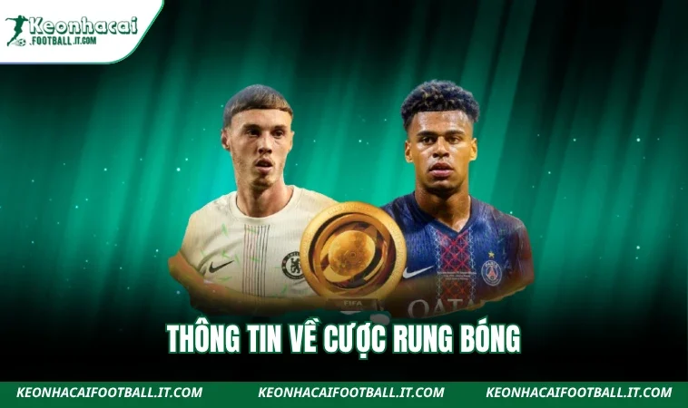 Thông tin về cược rung bóng