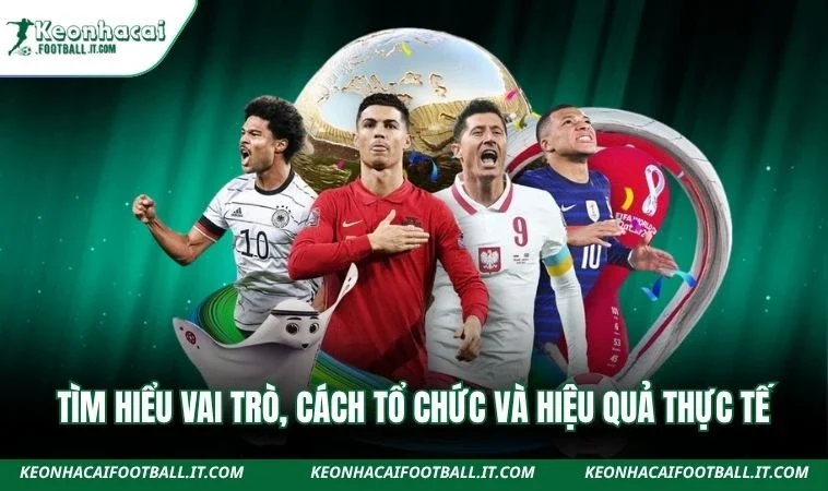 Tìm hiểu vai trò, cách tổ chức và hiệu quả thực tế